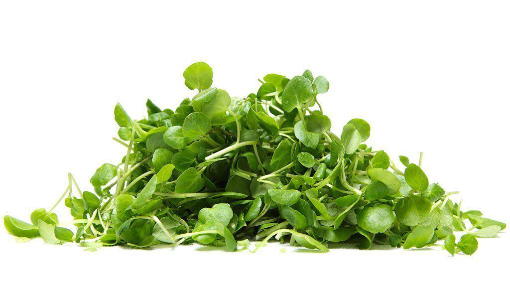 Watercress – each