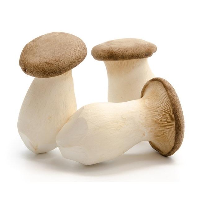 King Mushroom - per lb