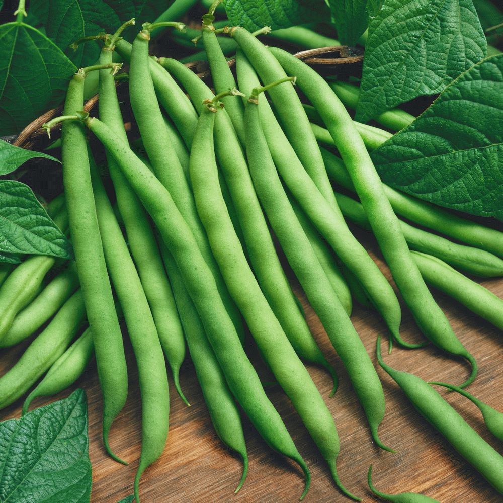 Pole Beans - per lb