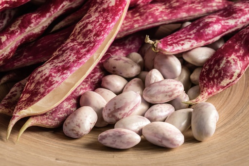 Cranberry beans - per lb
