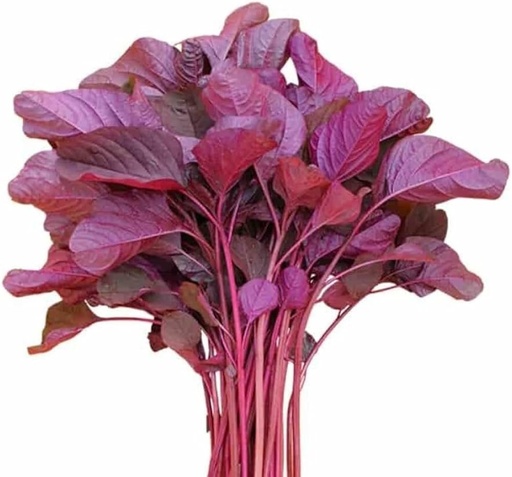 Red palunga Shag - per lb