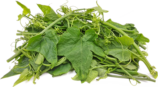 Pumkin Leaves - per lb